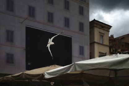 nº10 "Watch her fly" por Orietta Gelardin - Imagen 19