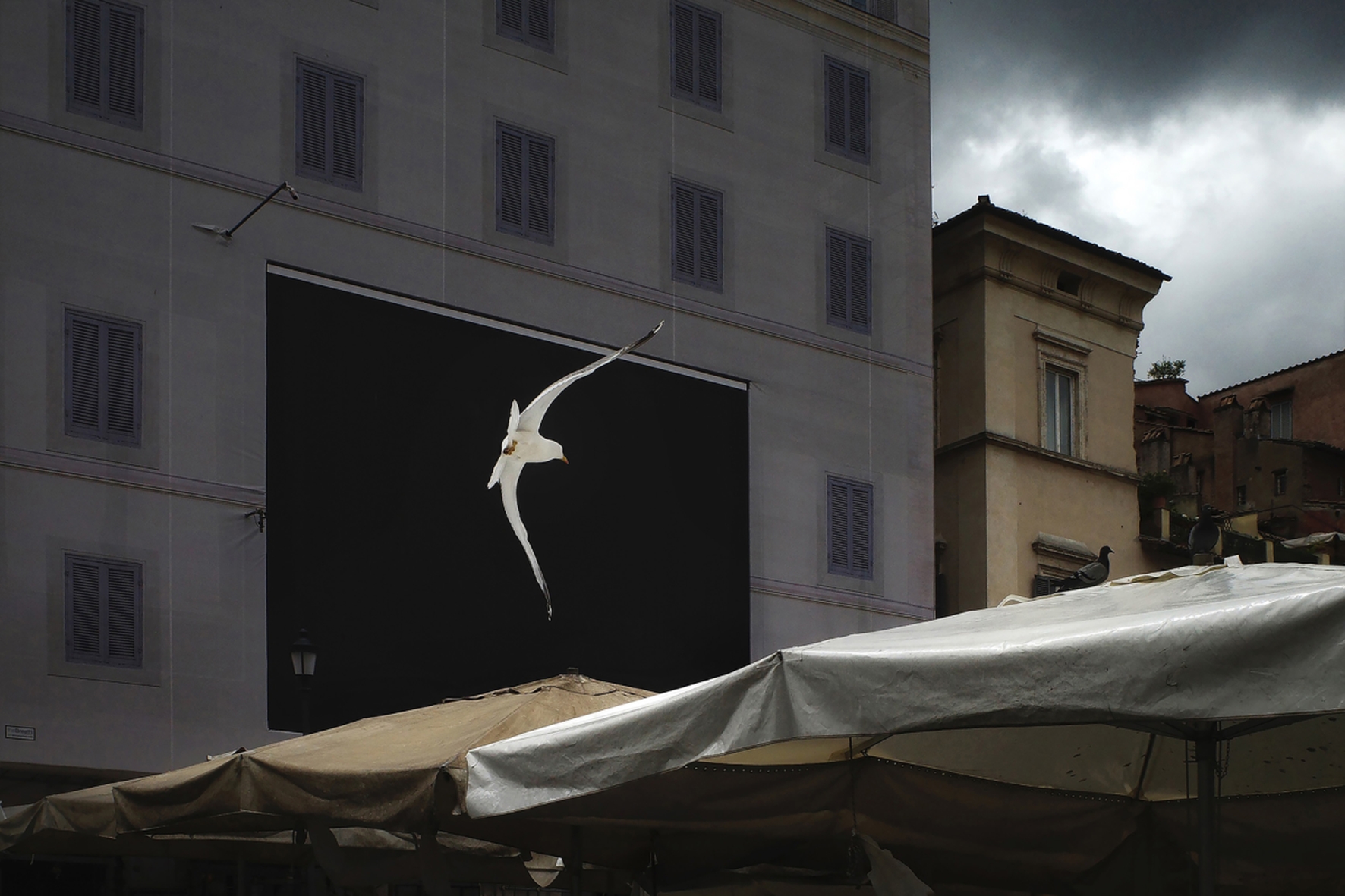 nº10 "Watch her fly" por Orietta Gelardin - Imagen 19