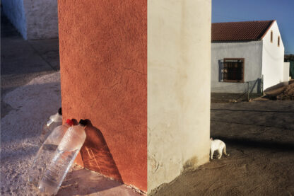 nº30 "La sombra de un almendro" por David Salcedo - Imagen 15