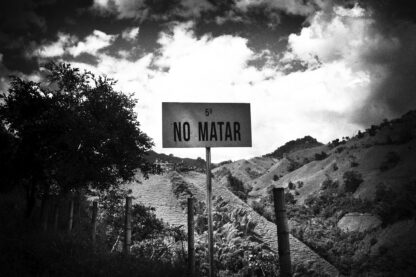 nº33 "No matarás" por Andrés Galeano - Imagen 2